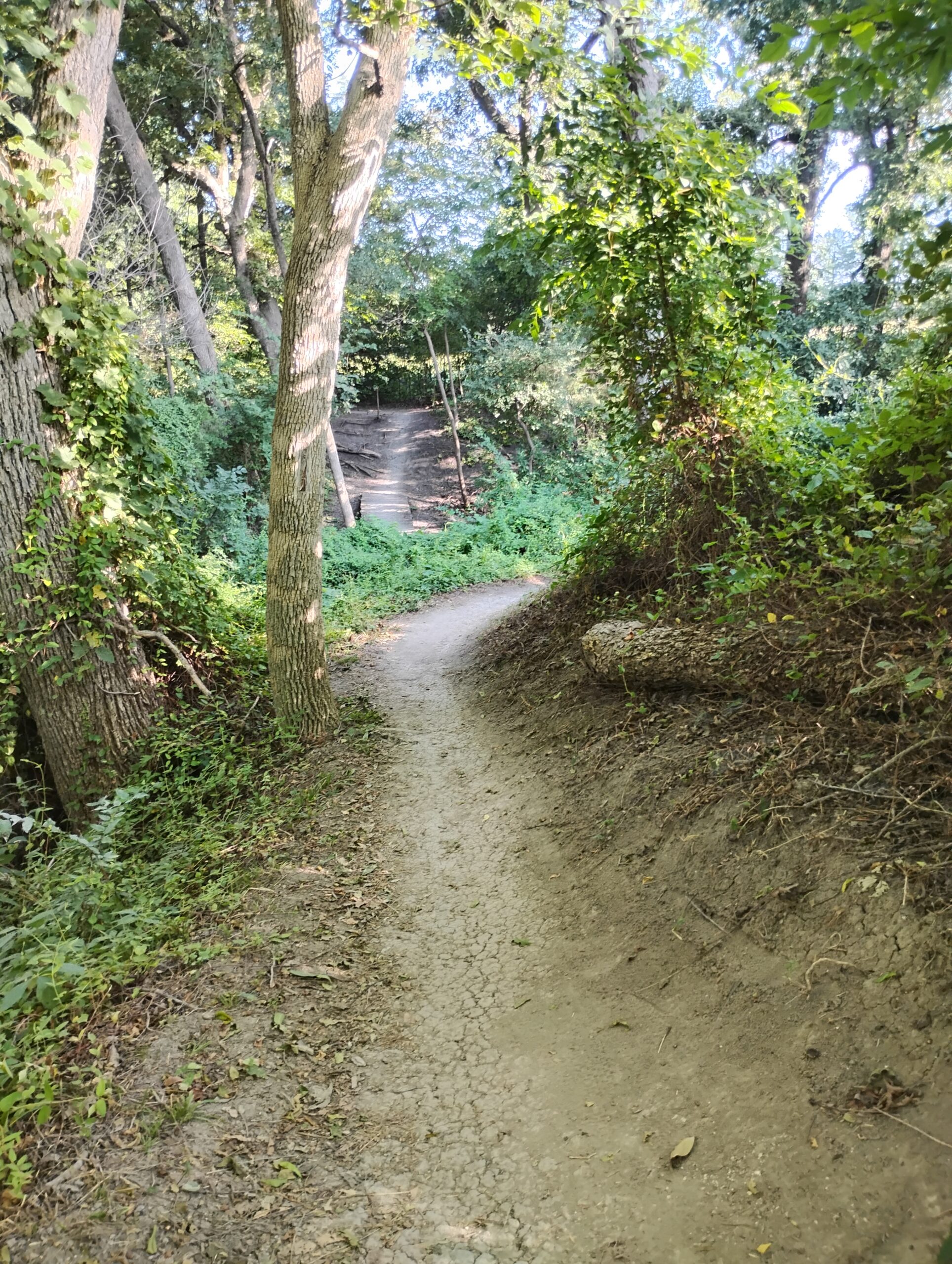 IMG_20250816_180222874_HDR