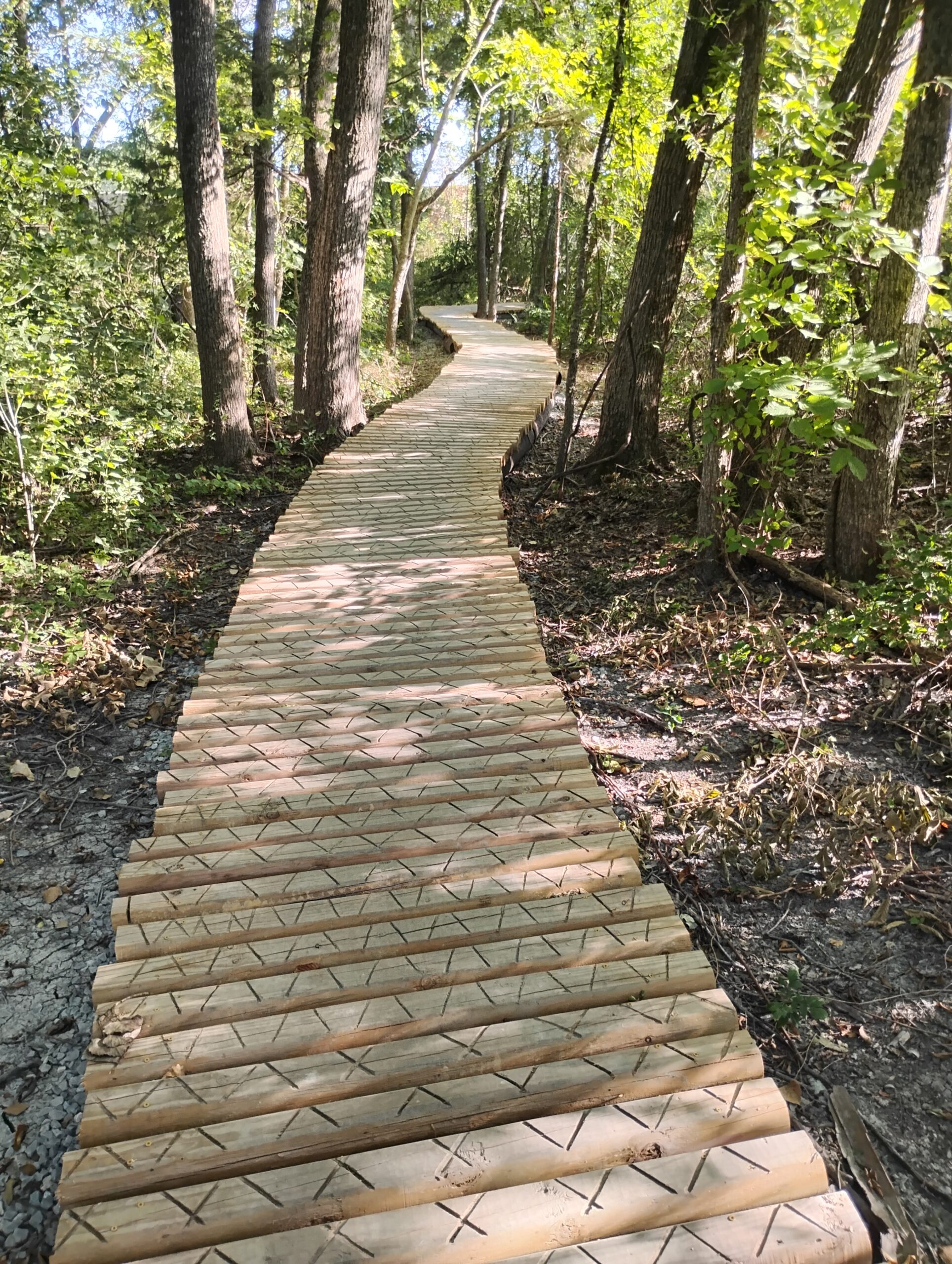 IMG_20250816_180627486_HDR