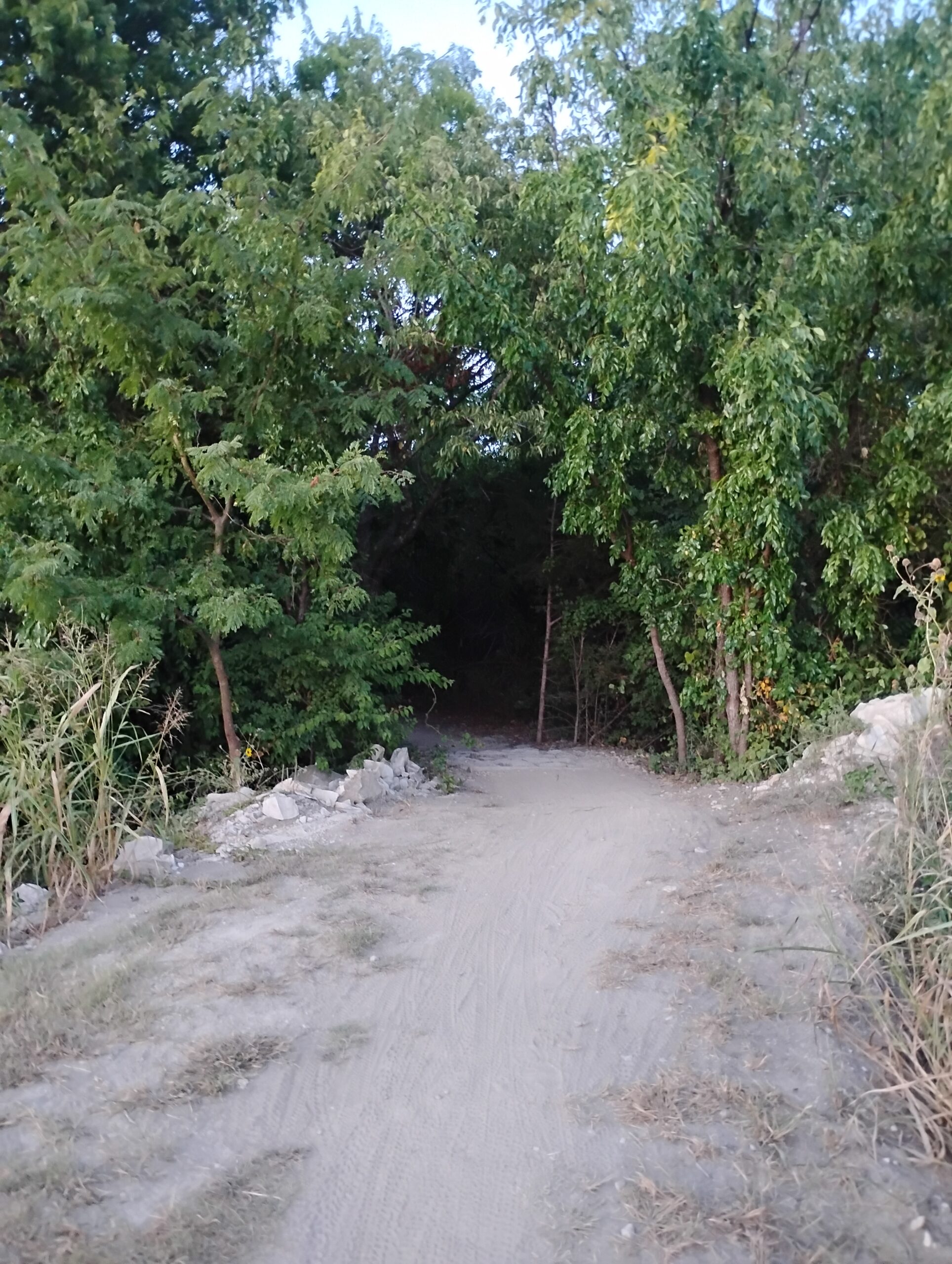 IMG_20250816_201720287