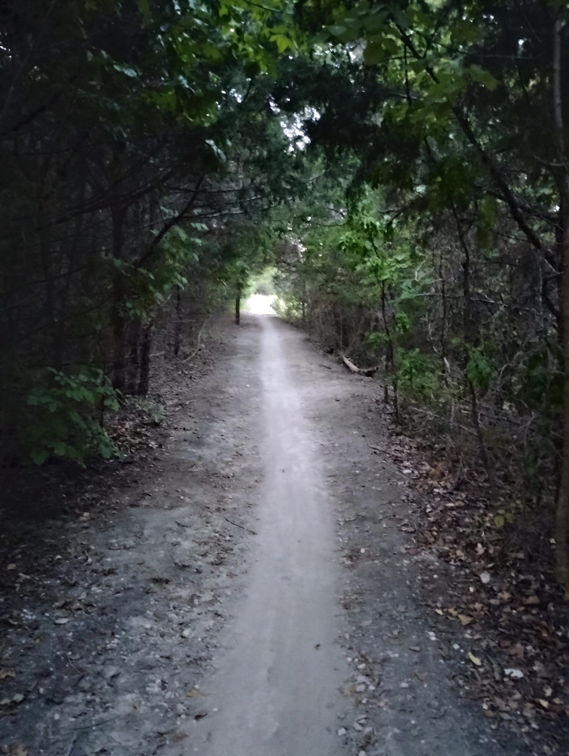 IMG_20250816_201737179