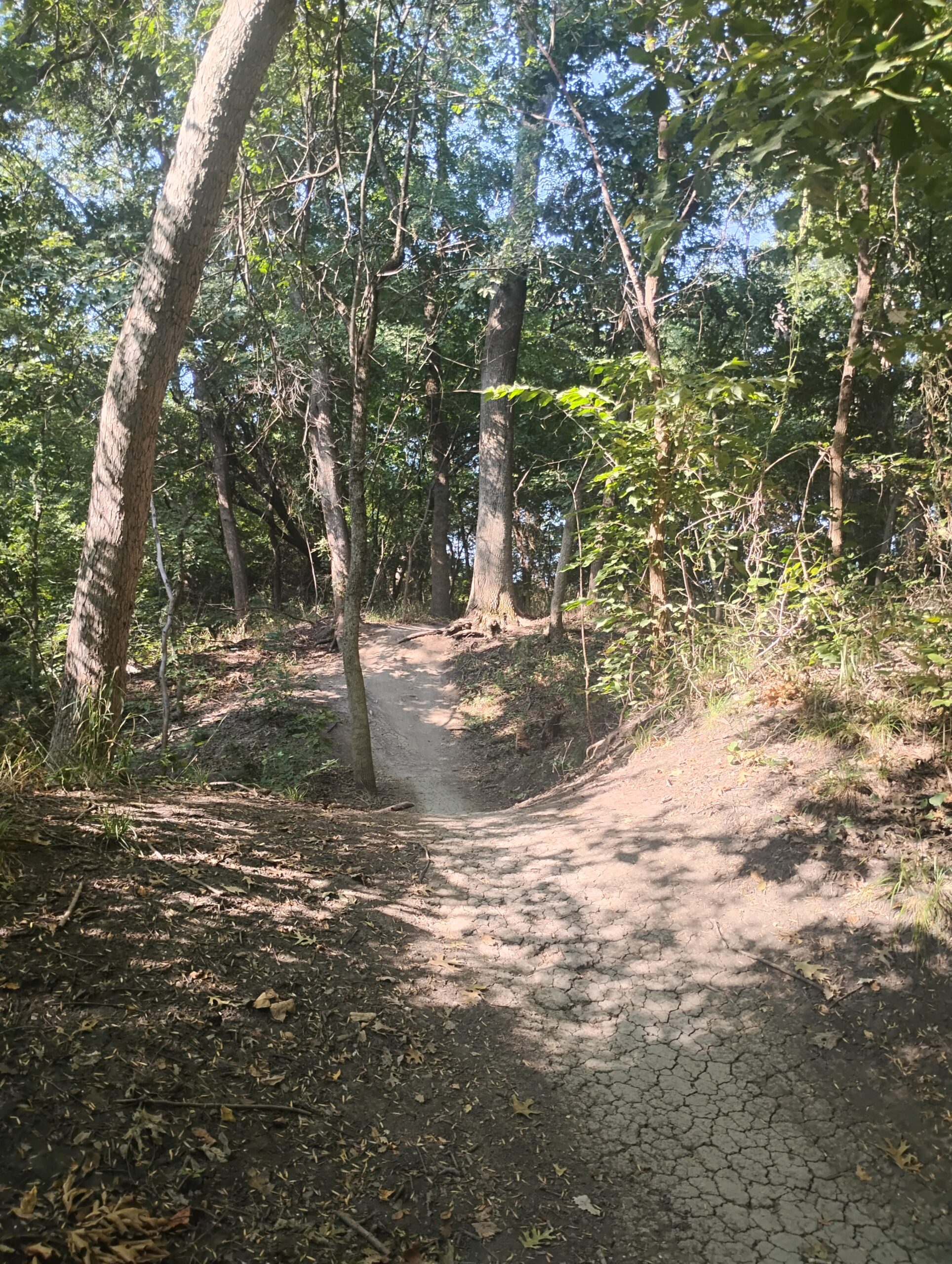 IMG_20250819_093939929_HDR