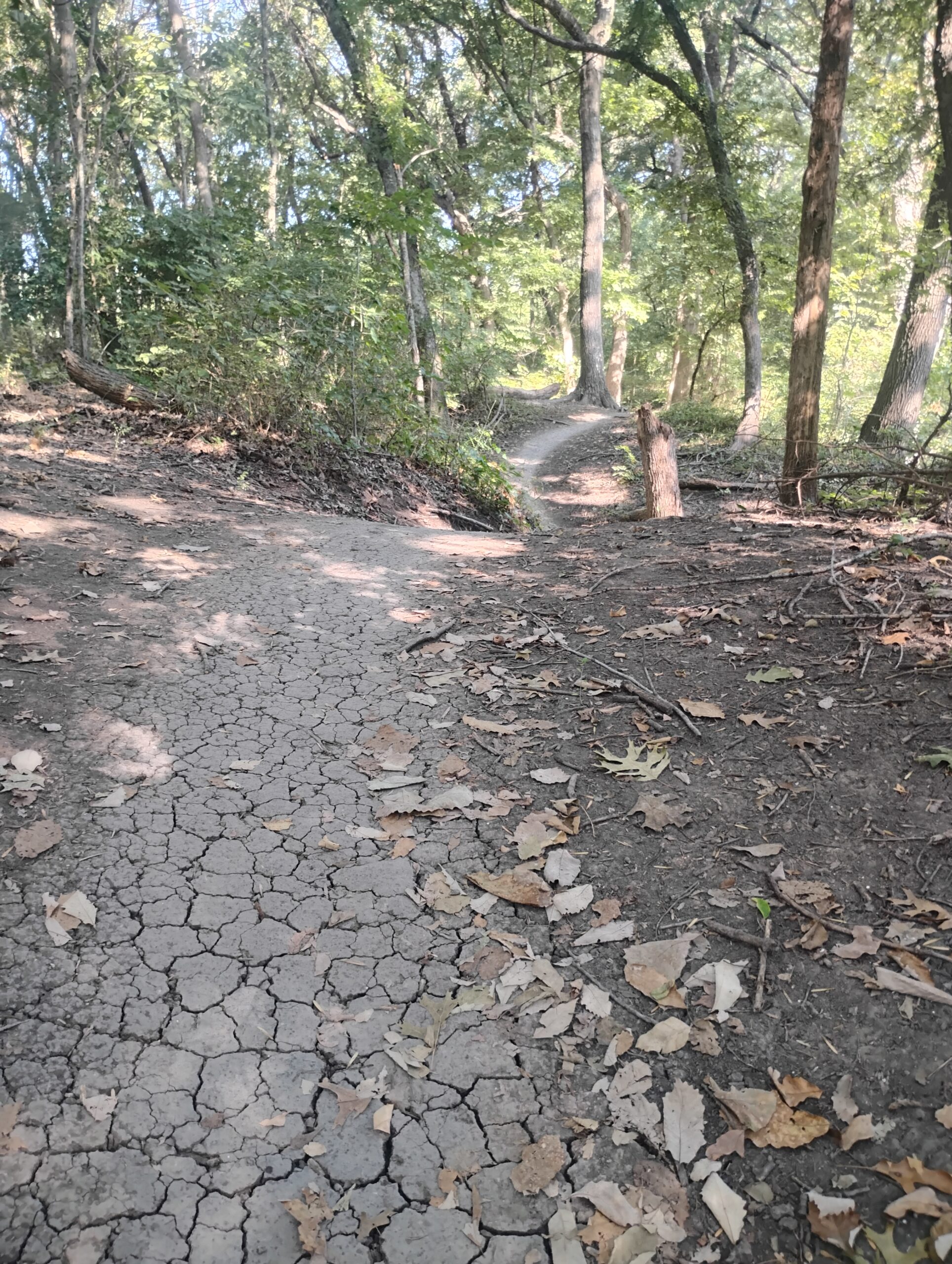 IMG_20250819_094102390_HDR