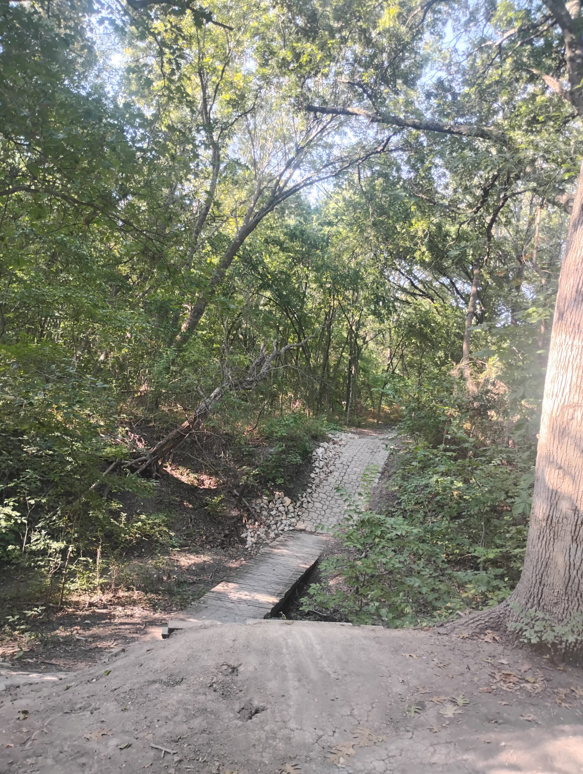 IMG_20250819_094432966_HDR