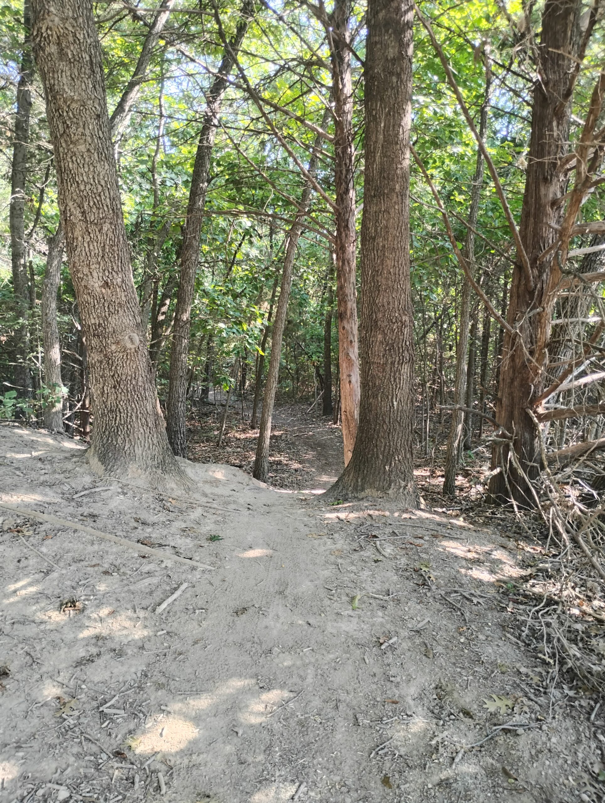 IMG_20250821_095044290_HDR