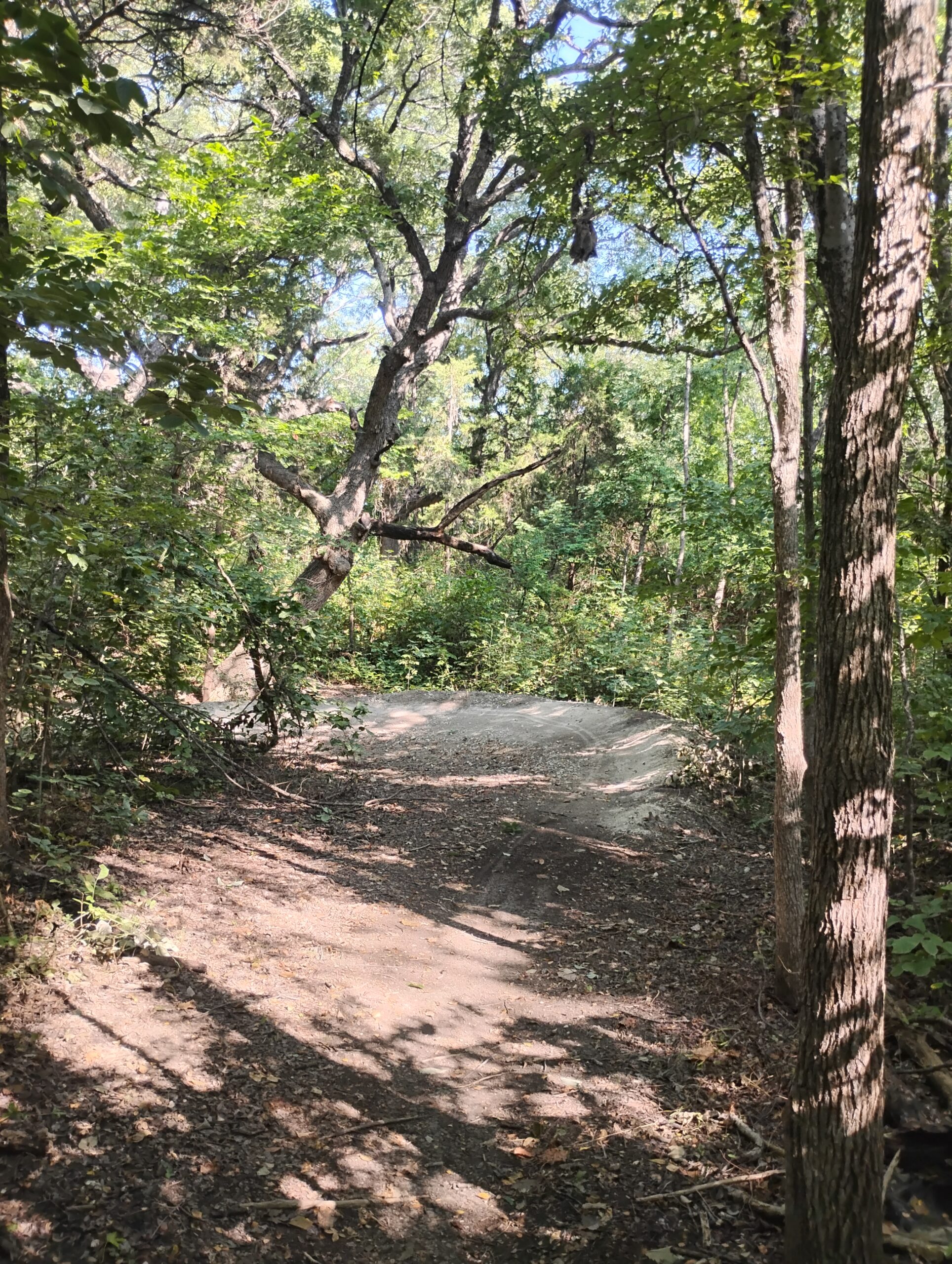 IMG_20250821_095128263_HDR